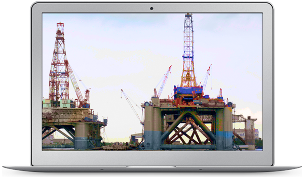 Hedge-Management image